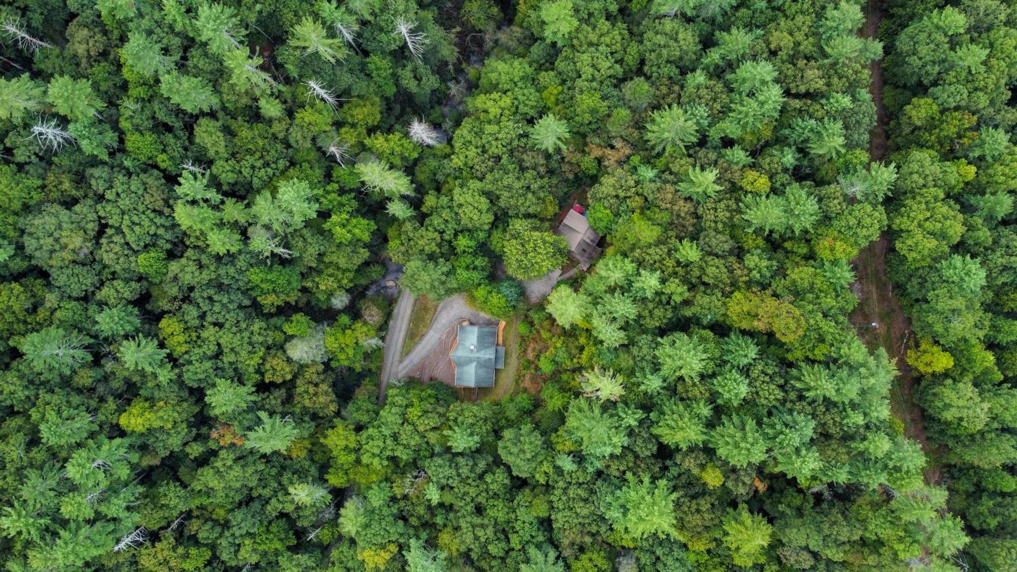 Amazing Creek View Cabin W/ Hot Tub, Firepit & Pool Table Ellijay Zewnętrze zdjęcie